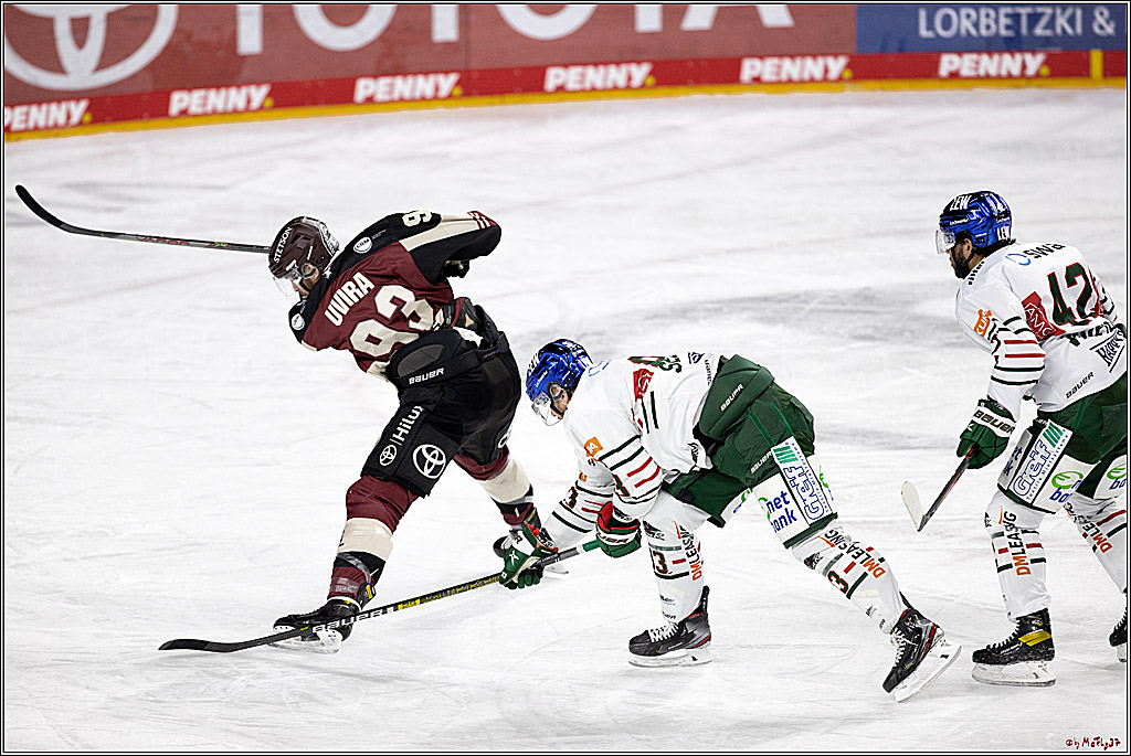PENNY DEL;  Koelner Haie - Augsburger Panther; Koeln, 05.04.2021